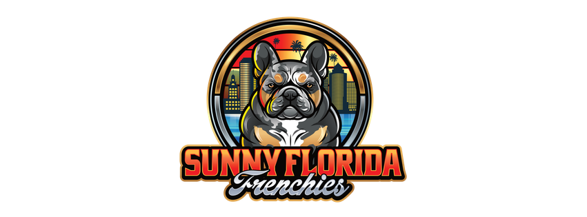 Sunny Florida Frenchies