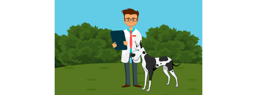WoofDoctor On Wheels