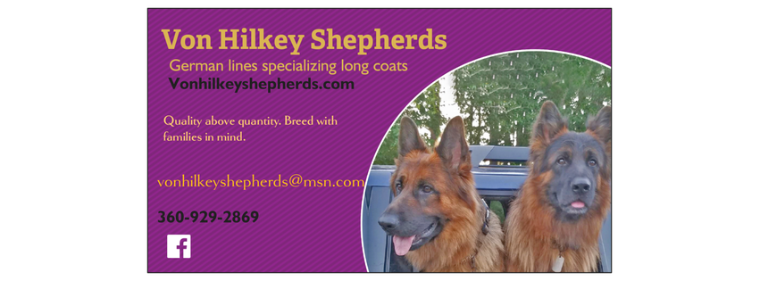 Von Hilkey Shepherds