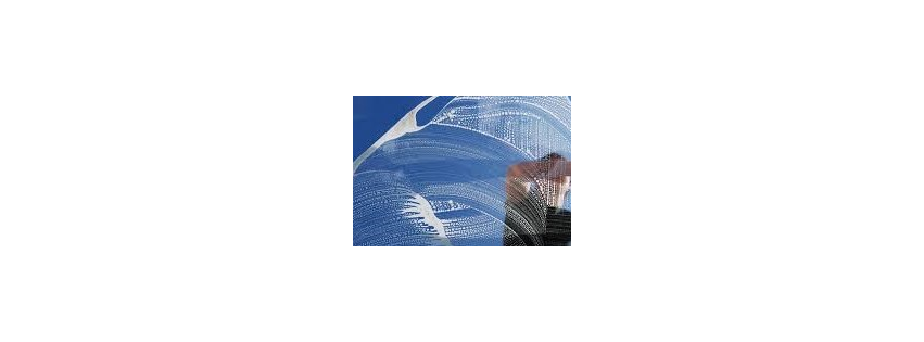LakeLand Window Cleaners