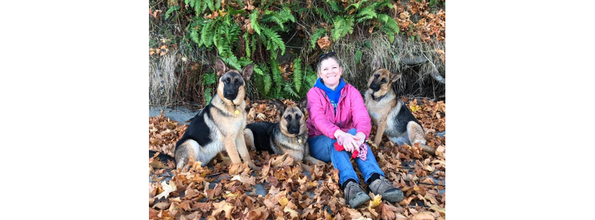 Affordable Dog and Puppy Training