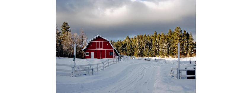 Woodford Barn Repair