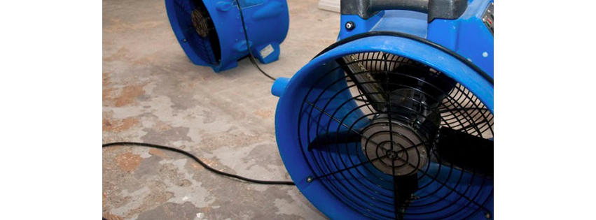 Disaster Cleanup Services