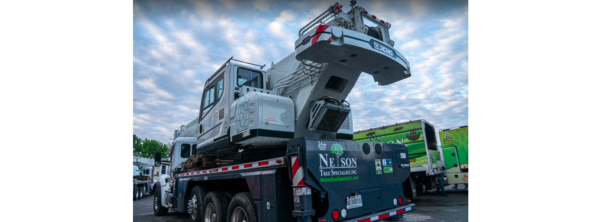Nelson Tree Specialist, Inc.