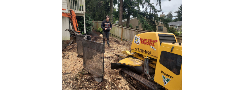 Sound Stump Removal
