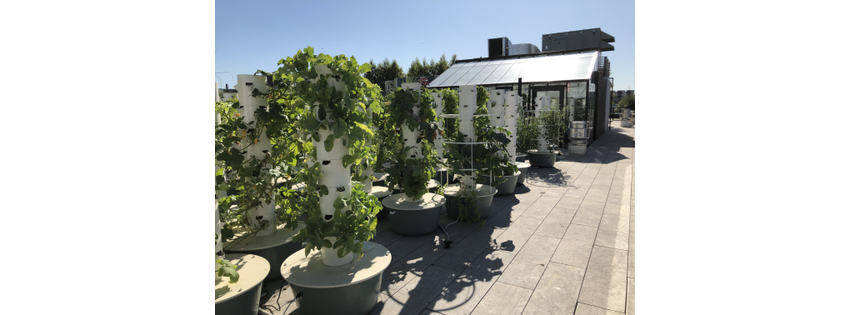 Green Food Solutions