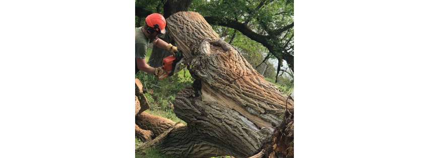 Hawkins Tree Service LLC