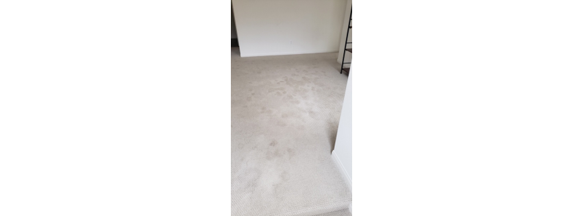 Anthony's Hot Steam Carpet and Tile Cleaning