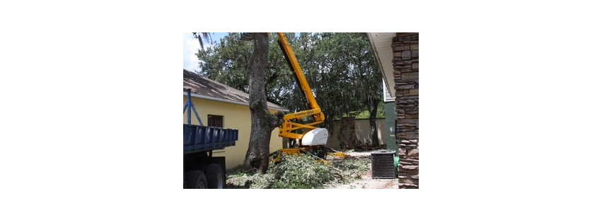 Harry Hale Tree Service Inc.