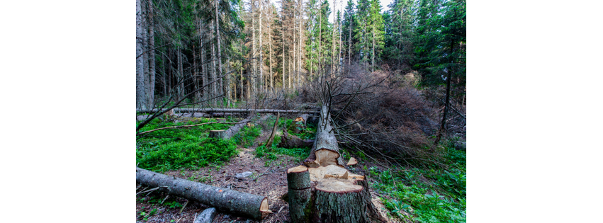 BBR Firewood Services LLC