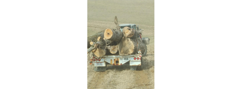 BBR Firewood Services LLC
