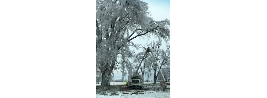 Hawkins Tree Service LLC