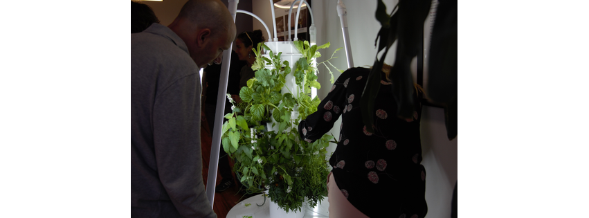 Green Food Solutions