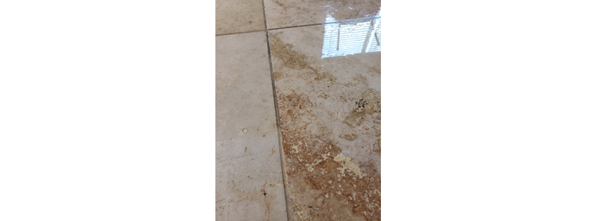 Anthony's Hot Steam Carpet and Tile Cleaning