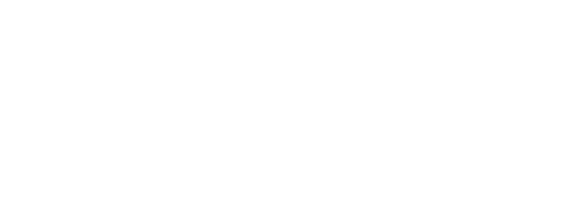 PSP Compass Solutions | Denver Marketing Consultant