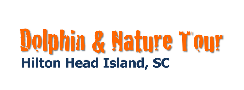Dolphin & Nature Tour