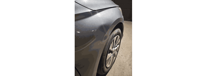 Pro Dent