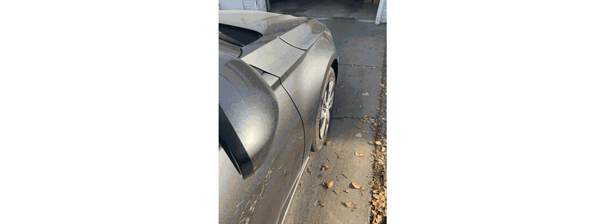 Pro Dent