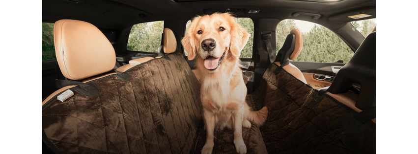 Plush Paws Products
