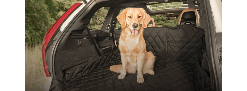 Plush Paws Products