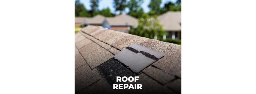 The Roof Doctor LLC