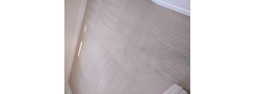 Best Brothers Carpet Cleaning