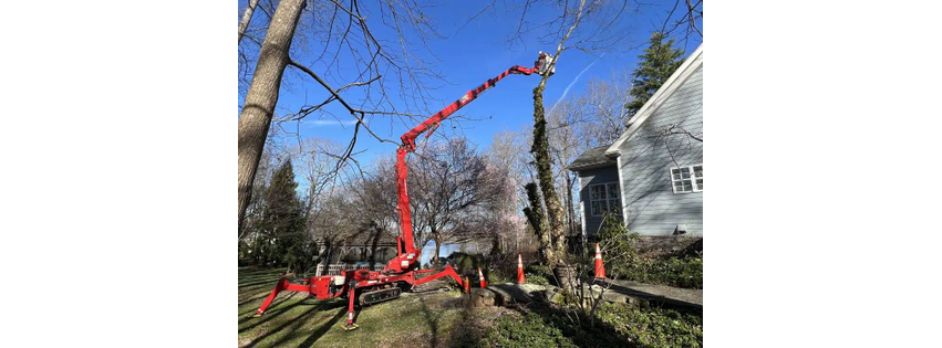 Frady Tree Care