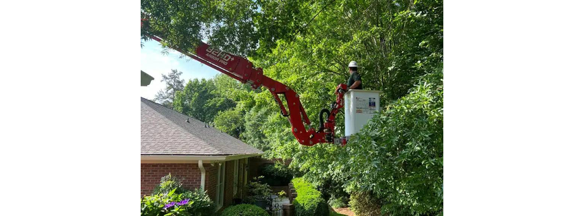 Frady Tree Care
