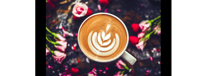 Terre Coffee & Bakery | Spokane St