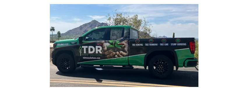 tdr tree solutions llc