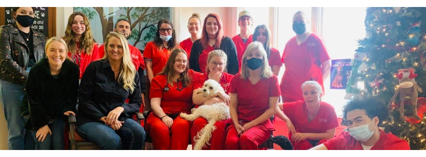2nd Avenue Animal Hospital