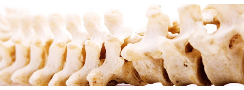 Pathways Chiropractic Health Center of Savage (a Curis Functional Health clinic)