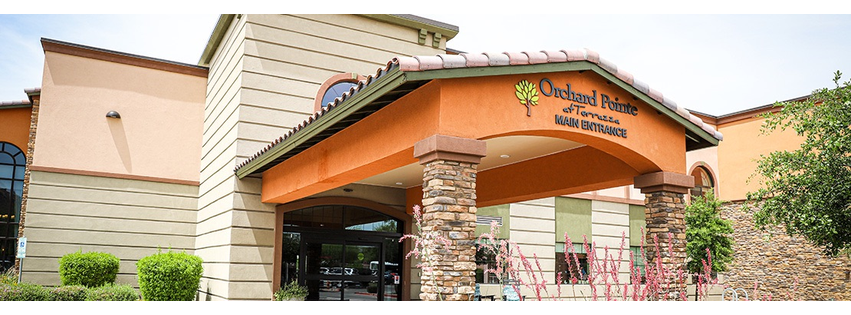 Orchard Pointe at Terrazza