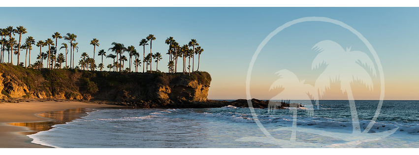 Paradise Palms Insurance Agency