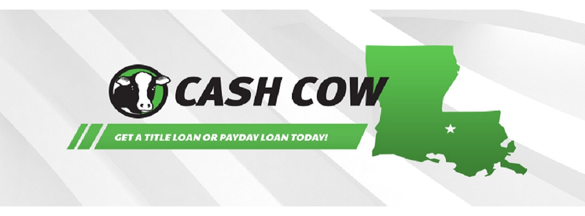 Cash Cow
