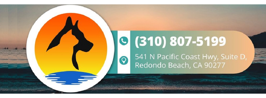 Pacific Animal Hospital