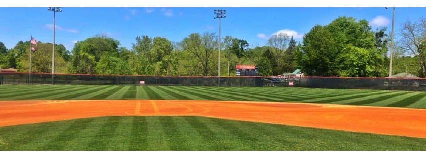 Southern Green Lawn & Shrub Care