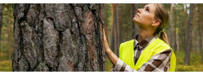 Beaver Tree Inc.