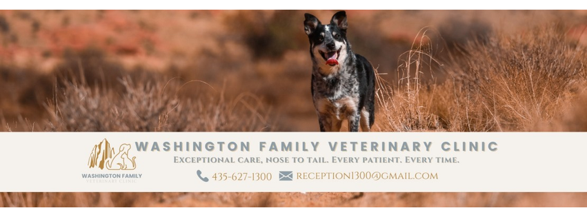 Washington Family Veterinary Clinic