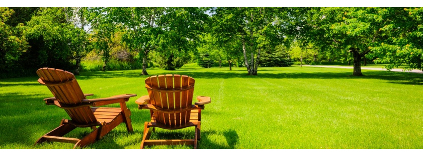 Evergreen Lawn Pest Control South Florida