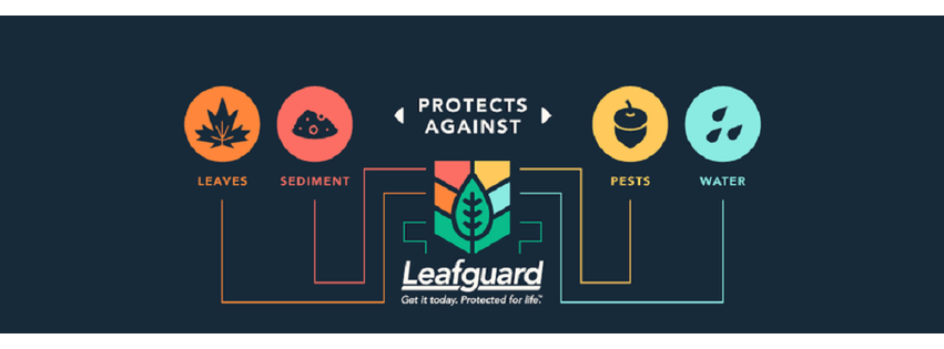 Leafguard Gutter Protection