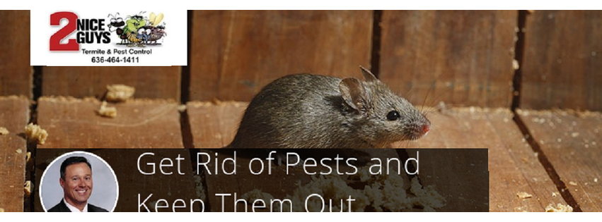 2 Nice Guys Termite & Pest Control