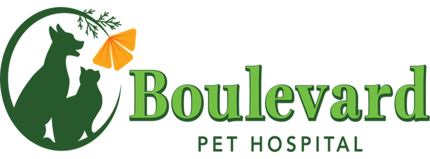 Boulevard Pet Hospital