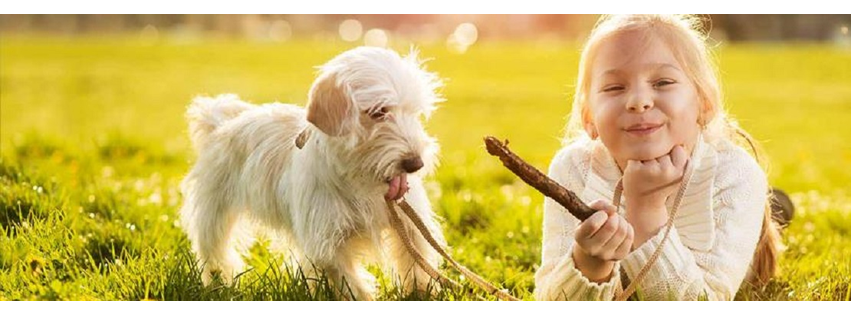 Friarsgate-Ballentine Animal Hospital