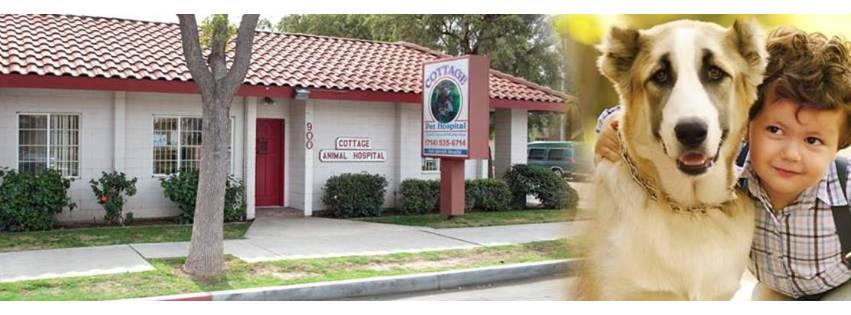 Cottage Pet Hospital