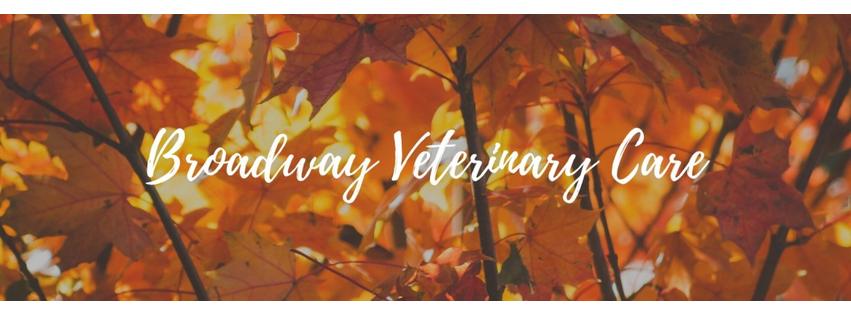 Broadway Veterinary Care