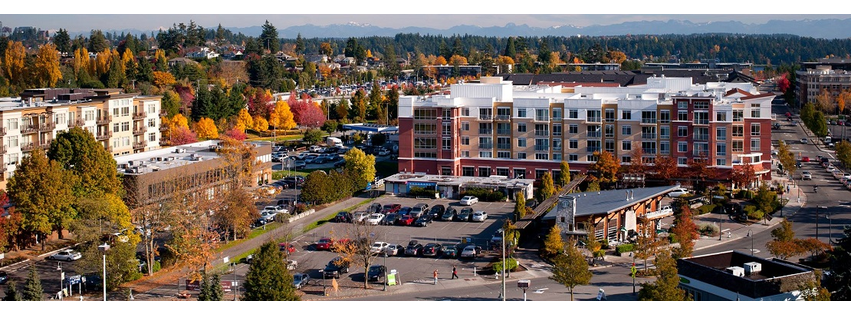 The Hadley Apartments