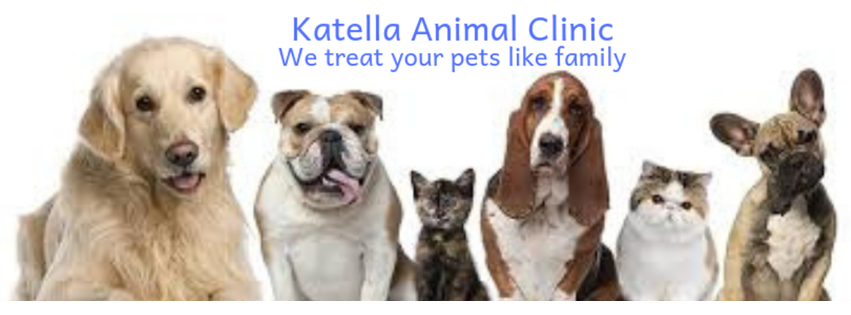 Katella Animal Clinic