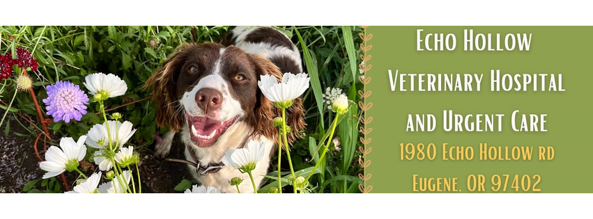 Echo Hollow Veterinary Hospital and Urgent Care