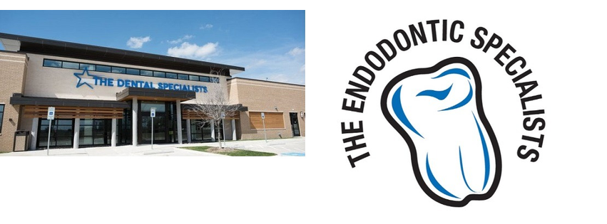The Endodontic Specialists - Dallas